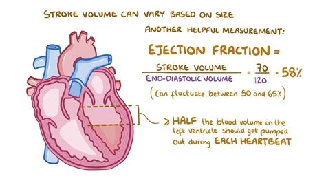 what does left ventricular ejection fraction mean